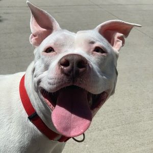 Meet your Posher, Breanna